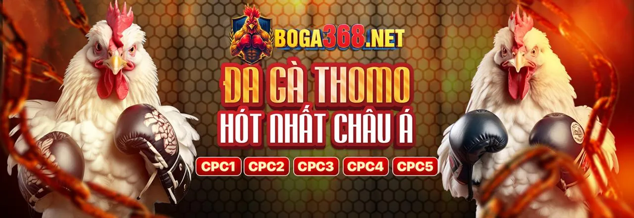Khuyến Mãi Dafabet Hấp Dẫn 2026